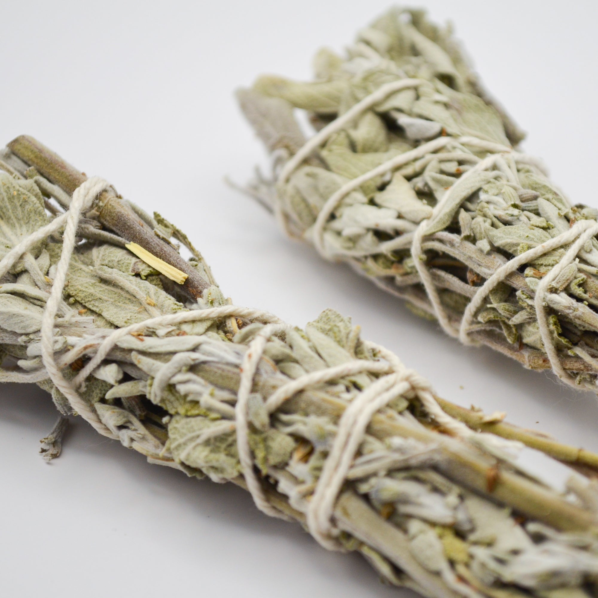 White Sage Smudge Sticks